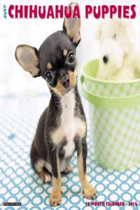 Just Chihuahua Puppies 2018 Wall Calendar (Dog Breed Calendar)