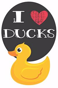 I Heart Ducks