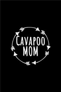 Cavapoo Mom
