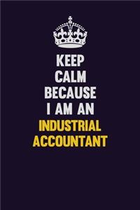 Keep calm Because I Am An Industrial Accountant