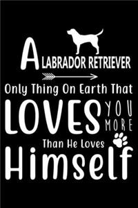 A Labrador Retriever only thing on earth that loves you more than he loves himself