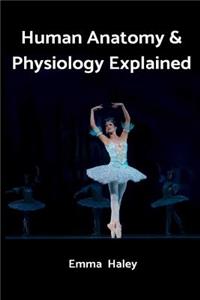 Human Anatomy & Physiology Explained