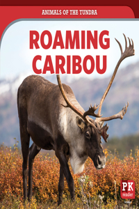 Roaming Caribou