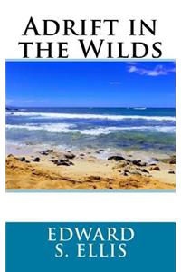 Adrift in the Wilds