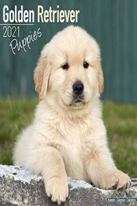 Golden Retriever Puppies 2021 Wall Calendar
