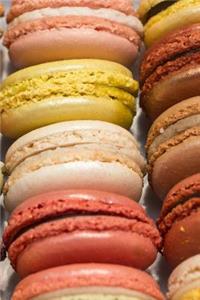 Academic Planner 2019-2020 Vol. 12