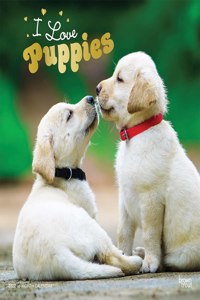 Puppies, I Love 2022 Square