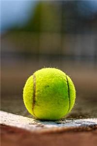 Tennis Ball Still Life Journal