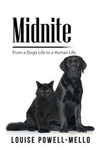 Midnite: From a Dog's Life to a Human Life