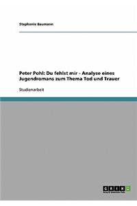 Du Fehlst Mir, Du Fehlst Mir! Von Peter Pohl Und Kinna Gieth. Analyse Des Jugendromans Zum Thema Tod Und Trauer