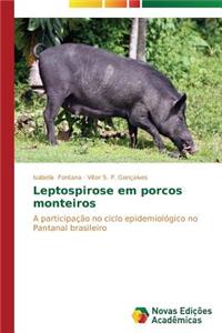 Leptospirose em porcos monteiros