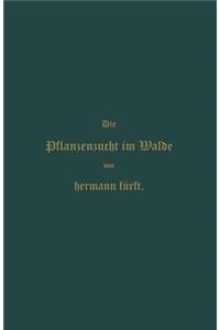 Pflanzenzucht im Walde