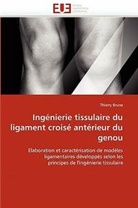 Ingénierie Tissulaire Du Ligament Croisé Antérieur Du Genou