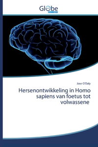 Hersenontwikkeling in Homo sapiens van foetus tot volwassene