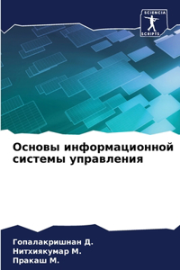 Основы информационной системы управлен