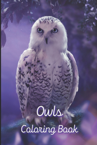 Owls Coloring Book