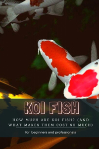 Koi Fish