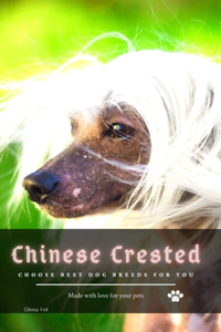 Chinese Crested