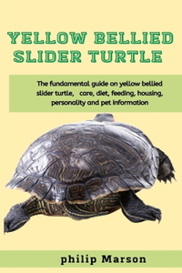 Yellow Bellied slider Turtle