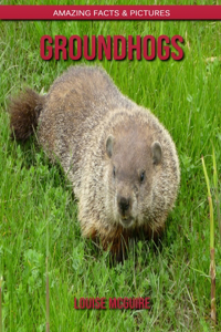 Groundhogs