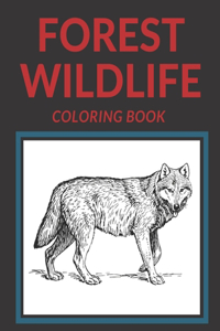 Forest Wildlife Coloring Book