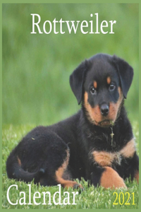 Rottweiler Calendar 2021