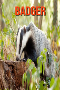 Badger