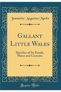 Gallant Little Wales: Sketches of Its People, Places and Customs (Classic Reprint)