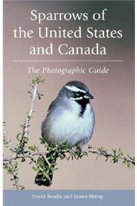 Sparrows of the United States and Canada: The Photographic Guide