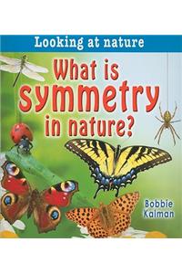What is symmetry in nature?