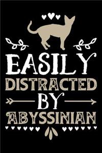 Easily Distracted By Abyssinian