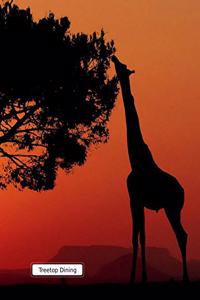 Treetop Dining