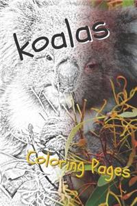 Koala Coloring Pages