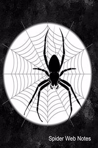 Spider Web Notes