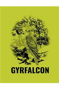 Gyrfalcon