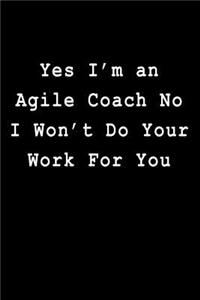 Yes I'm an Agile Coach No I Won't Do Your Work For You