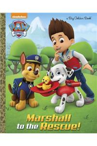 Marshall to the Rescue! (Paw Patrol)