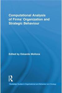 Computational Analysis of Firms' Organization and Strategic Behaviour