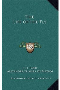 The Life of the Fly