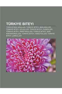 Turkiye Biteyi