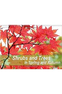 Shrubs and Trees in Spring and Autumn 2017
