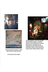 The Inauguration of Insanity, Other Short Stories, Poems And Songs