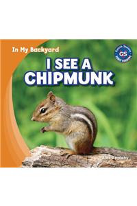 I See a Chipmunk