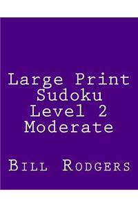 Large Print Sudoku Level 2 Moderate