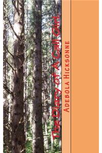 The Diary of a Call Girl