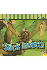 Stick Insects