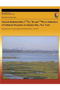 Natural Radionuclides (234Th, 7Be and 210Pb) as Indicators of Sediment Dynamics in Jamaica Bay, New York
