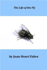The Life of the Fly
