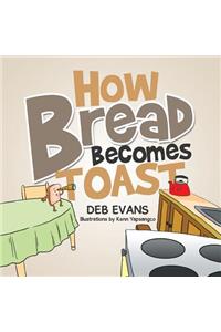 How Bread Becomes Toast