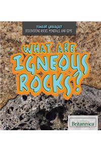 What Are Igneous Rocks?